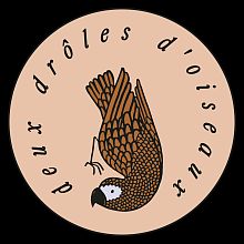 Videographer Deux drôles D’oiseaux