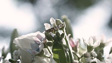 Videógrafo Vladyslav Kolomoiets de Kryvyi Rih, Ucrânia - Teaser_wedding, wedding