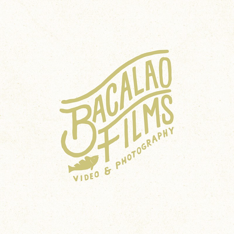 Videograf Michelle Ellis