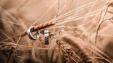 Videographer Vít Antoš from Prague, Czech Republic - Kristýna & Ondřej 5. 8. 23 ♡ / T&W, wedding