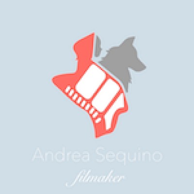 Videographer andrea sequino