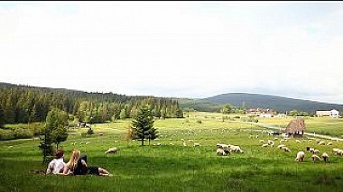 Videographer Tokksa The Movie Studio from Warsaw, Poland - Marta &amp; Tomasz, wedding