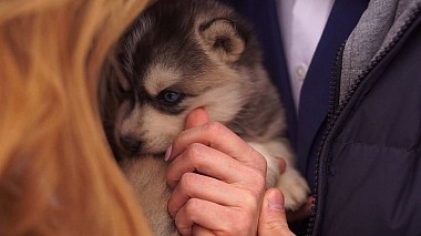 Videographer Igor Kuznetsov from Moskau, Russland - SDE A&A, SDE, wedding