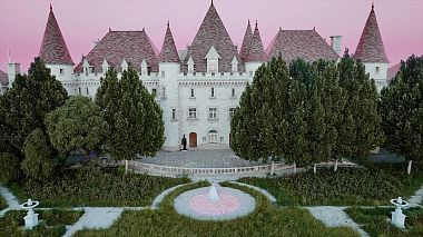 Videografo VWONDER da Beijing, Cina - PinkLover, wedding