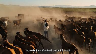 Videographer Stefan Gärtner (Gartner Studio) from Temešvár, Rumunsko - Raluca & Catalin - Wedding story in Cappadocia, event