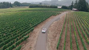 Videógrafo Mykola Molodyka de Portland, Estados Unidos - Wedding teaser | Kate & David, wedding