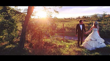 Videographer Perfect Style from Tbilisi, Georgia - SHOWREEL 2016, drone-video, showreel, wedding