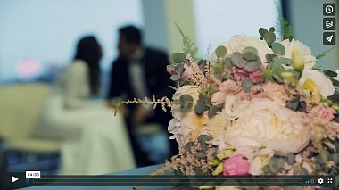 Videographer Nemanja Petrović from Belgrade, Serbia - Tanja & Milan (Best moments), drone-video, event, musical video, wedding