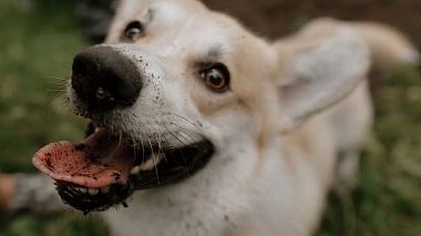 Видеограф FIKS, Санкт Петербург, Русия - НОВЫЙ СЕЗОН СТРАДАНИЙ МАССИМО, musical video, reporting, wedding