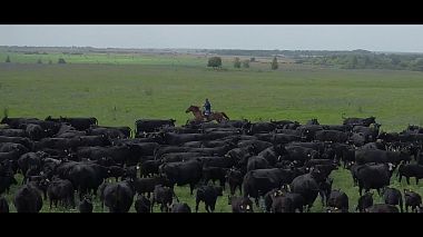 Videógrafo Viktor Fo de Moscovo, Rússia - Miratorg company video, advertising, corporate video, drone-video, reporting, showreel