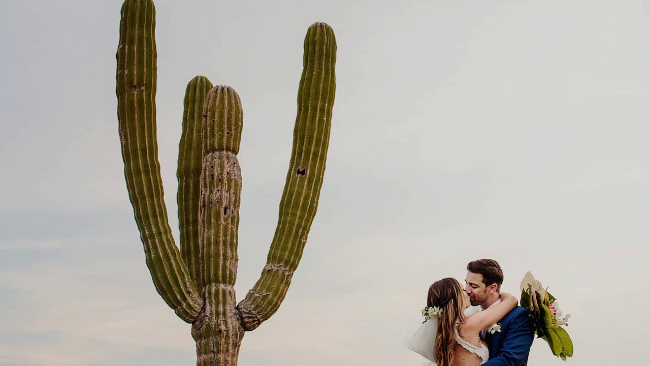 Allison & Eric :: the real deal :: Los Cabos, Mexico