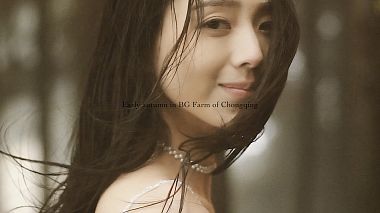 Filmowiec Fish Vision z Chengdu, Chiny - Daming & Mumu // Wedding film, wedding