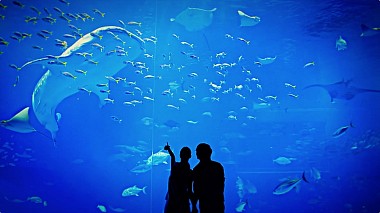 Videographer Duke Fan from Kanton, Čína - Pre-wedding Film in Okinawa, advertising, anniversary, engagement, musical video, wedding