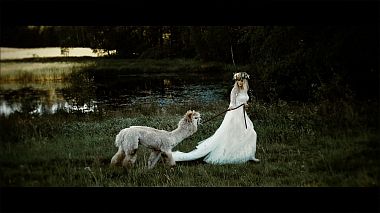 Videógrafo COOL ART  PRODUCTION de Gdynia, Polónia - Patryce&Karol -  True love, reporting, showreel, wedding