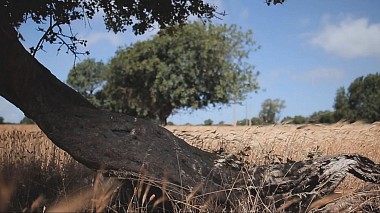 Videographer casa trentatre from Ragusa, Itálie - Dario & Chiara - Sicily Wedding Teaser, engagement, event, reporting, wedding