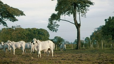 Filmowiec Medio Limon z Madryt, Hiszpania - Tu corazón con el mío., advertising, wedding