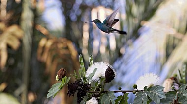 Filmowiec Medio Limon z Madryt, Hiszpania - Realismo mágico, drone-video, wedding