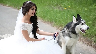 来自 苏尔古特, 俄罗斯 的摄像师 Виталий Фомченко - Максим и Кристина, wedding