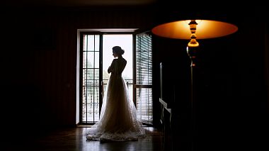 Videografo Vladimir Riabovol da Kiev, Ucraina - Alina & Andrey Wedding, drone-video, erotic, musical video, showreel, wedding