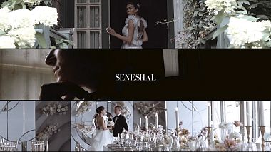 Videographer Stanislav Petrenko from Moskau, Russland - Ando & Darya | Moscow, wedding