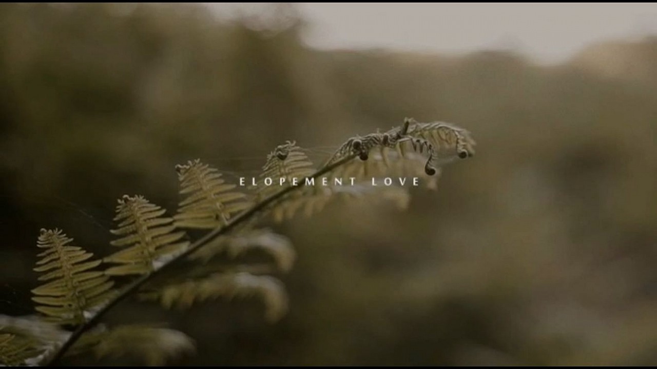 ELOPMENT LOVE | Teaser