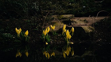 Videographer Souvenir Films from Barcelona, Španělsko - Botaniska, showreel, training video