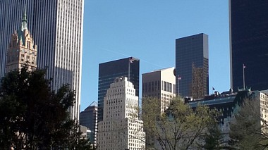 Videografo Dzmitry Bibik da New York, Stati Uniti - New York Central Park 19.02.2017, reporting