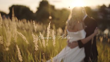 Videographer Adrian Moise from Buzau, Romania - Bianca & Andrei - Sunset love, advertising, anniversary, engagement, event, wedding