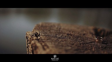 Videographer Alexandr Pancenco from Kišiněv, Moldavsko - V & D, wedding