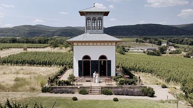 Видеограф LOUD CINEMATOGRAPHY, Карлсруэ, Германия - Wedding German Whine Region, свадьба