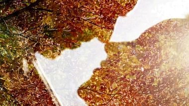 Videographer Daniel Vatamanu from Suceava, Rumunsko - Oana & Radu - Best Moments, drone-video, wedding