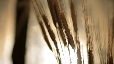 Videografo Mykolas Gudelis da Albany, Stati Uniti - October Symphony, wedding