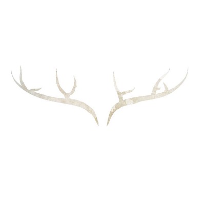 Videographer Lula Films