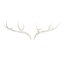 Videographer Lula Films