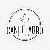 Videographer Candelabro Filmes