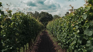 Videographer PEPA Films from Zielona Gora, Poland - Wedding in a wine-garden, wedding