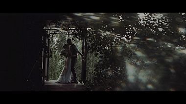 Videographer ARD Studio from Moscow, Russia - Pine wood, SDE, event, wedding