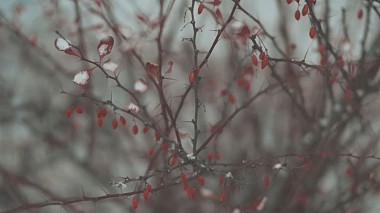 Videografo Сергей Богданов da Vladivostok, Russia - Julia & Sergey, wedding