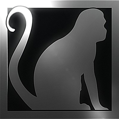 Videographer Monkey Cinema