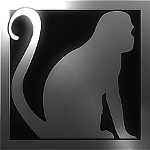 Videografo Monkey Cinema