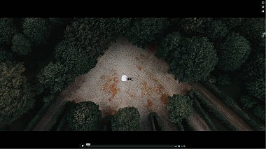 来自 阿拉德, 罗马尼亚 的摄像师 Pavel Macovei - Wedding Day | Alex & Diana, wedding