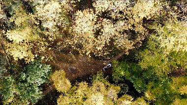 Videographer Pavel Macovei from Arad, Romania - David & Flori, wedding