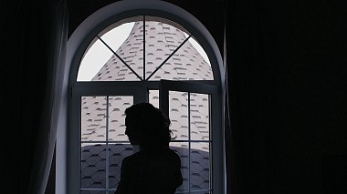 Videographer Dmitry Kirillov from Penza, Russia - Svetlana & Sergey // Wedding highlight, wedding