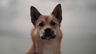 Видеограф Женя Арно, Чебоксары, Россия - Мы и наш друг, свадьба