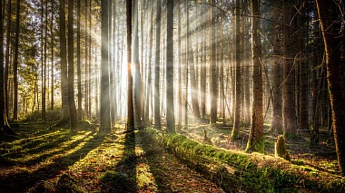 Videógrafo Irinel Palcau de Bacău, Rumanía - Save the Date, engagement, event, wedding