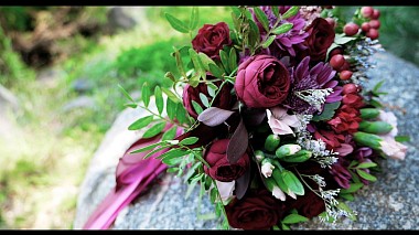 Videographer Nicolay Aleksanenkov from Astrachaň, Rusko - Алексей+Анна, engagement, wedding