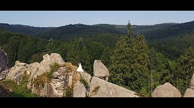 Videographer Denis Martunyk from Ternopil', Ukraine - Андрій+Надія, drone-video, wedding