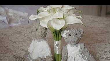 Videographer Serhii Pyvarchuk from Poltava, Ukrajina - Олександр & Євгенія, wedding