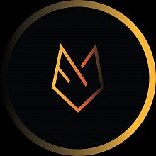 Videographer WAGNER BORN