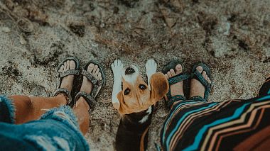 Videographer Rotund Perfect from Cluj-Napoca, Romania - run with me, advertising, anniversary, engagement, musical video, reporting